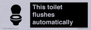 This toilet flushes automatically